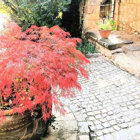 La Charmeraie Montpeyroux  エクステリア 写真
