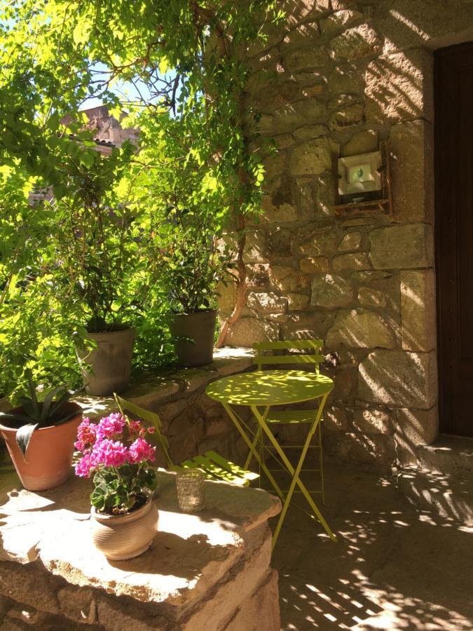 La Charmeraie Montpeyroux  エクステリア 写真