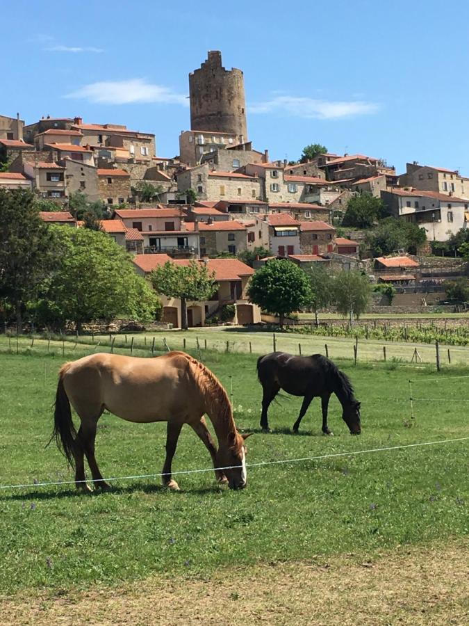 La Charmeraie Montpeyroux  エクステリア 写真