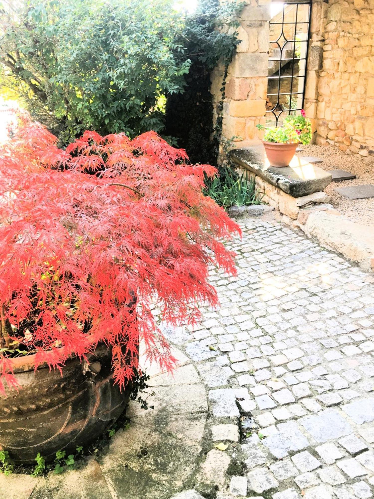 La Charmeraie Montpeyroux  エクステリア 写真